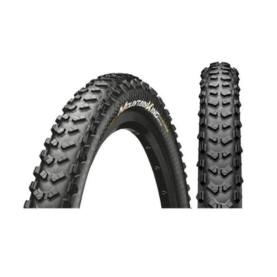323613